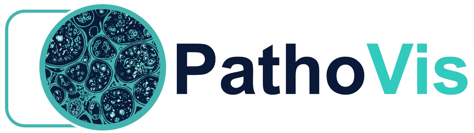 PathoVis logo